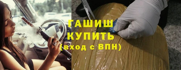 гашик Ельня