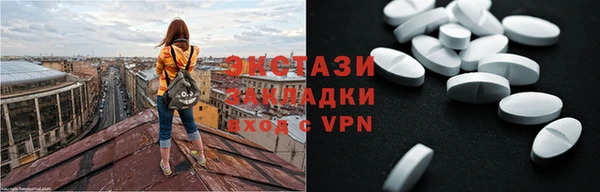 гашик Ельня