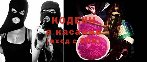 гашик Ельня