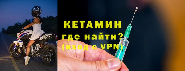 гашик Ельня