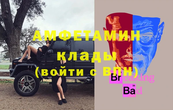 гашик Ельня