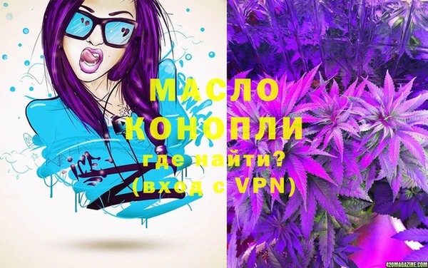 гашик Ельня