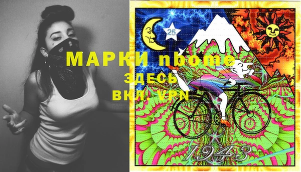 прущие грибы Елабуга