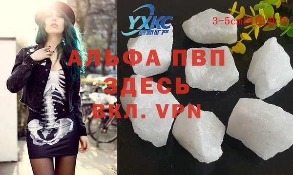 спиды Елизово