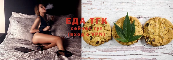 прущие грибы Елабуга