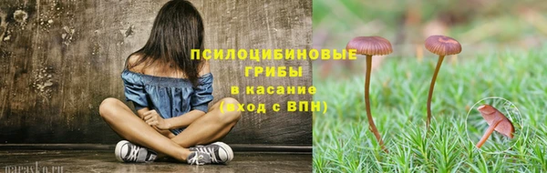 спиды Елизово