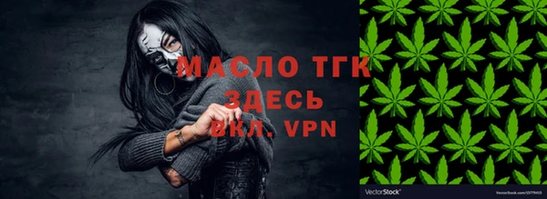 гашик Ельня