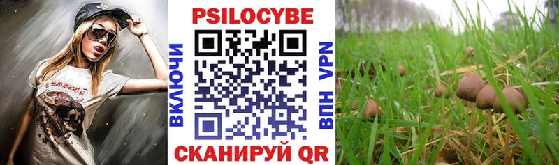 Купить где  Коммунар  Псилоцибиновые грибы ЛСД 